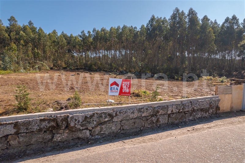 Terreno Rústico / Paços de Ferreira, Sanfins Lamoso Codessos