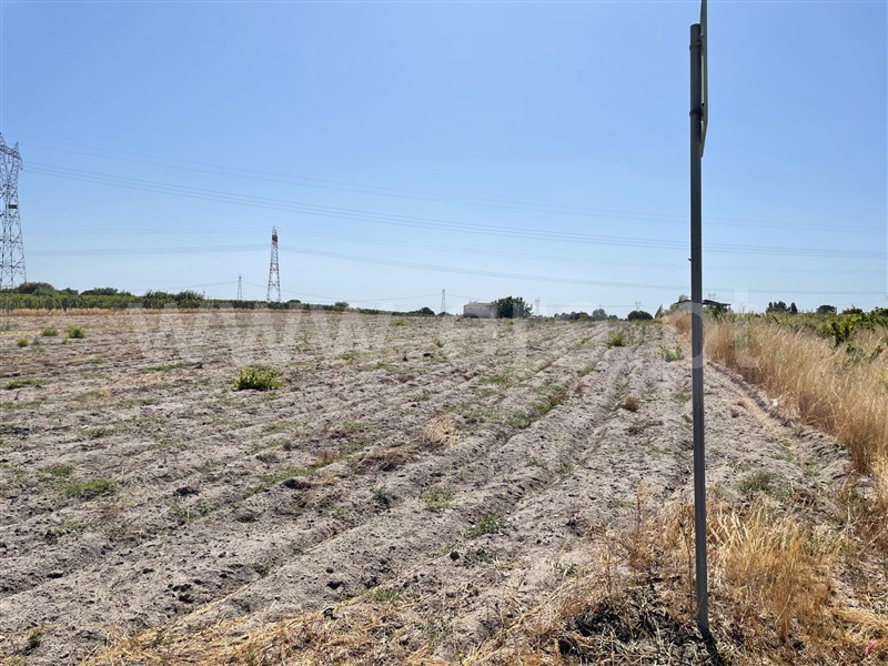 Terreno Rústico, Vale da Vila, Pinhal Novo - 1490224 - 4