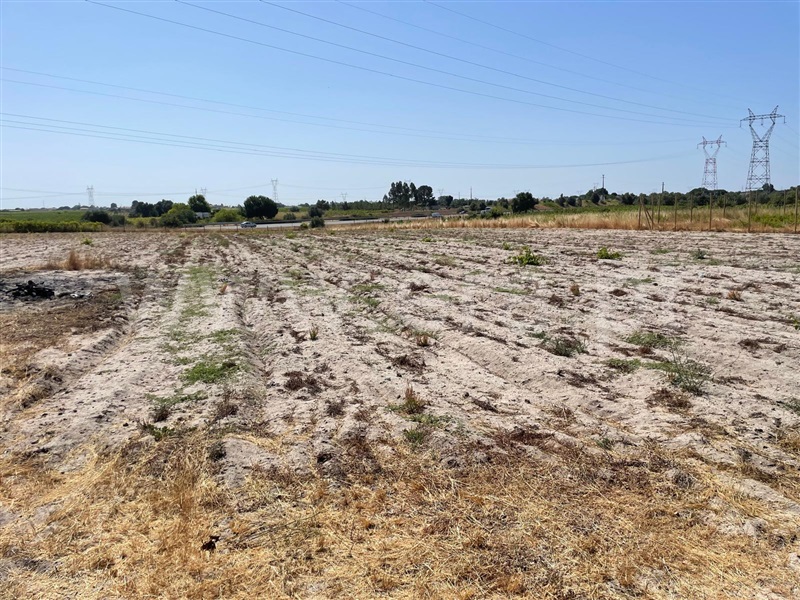 Terreno Rústico, Vale da Vila, Pinhal Novo - 1490224 - 5