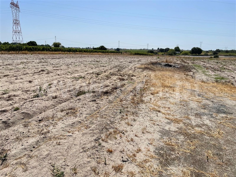 Terreno Rústico, Vale da Vila, Pinhal Novo - 1490224 - 7