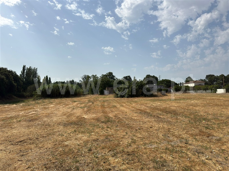 Terreno  Palmela, Pinhal Novo - 1495817 - 3