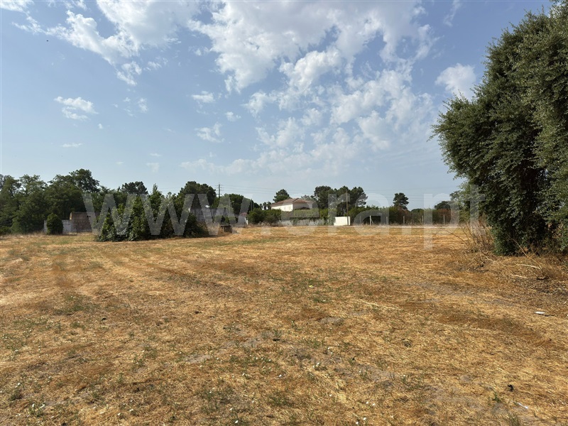 Terreno  Palmela, Pinhal Novo - 1495817 - 5
