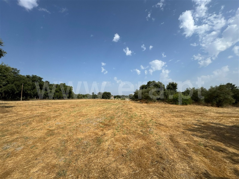 Terreno  Palmela, Pinhal Novo - 1495817 - 6