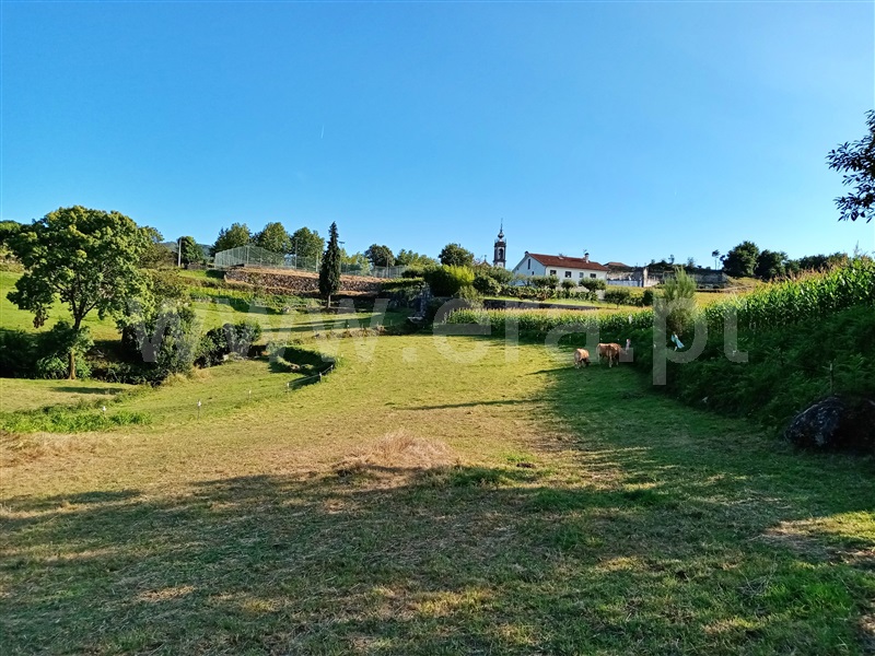 Terreno / Paredes de Coura, Bico e Cristelo