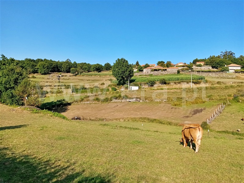 Terreno  Paredes de Coura, Bico e Cristelo - 1195679 - 5