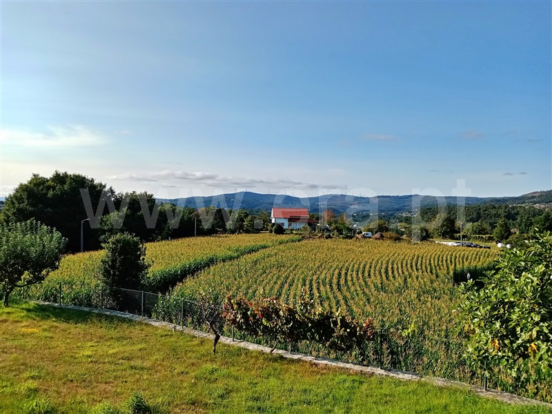 Terreno  Paredes de Coura, Bico e Cristelo - 1195679 - 2
