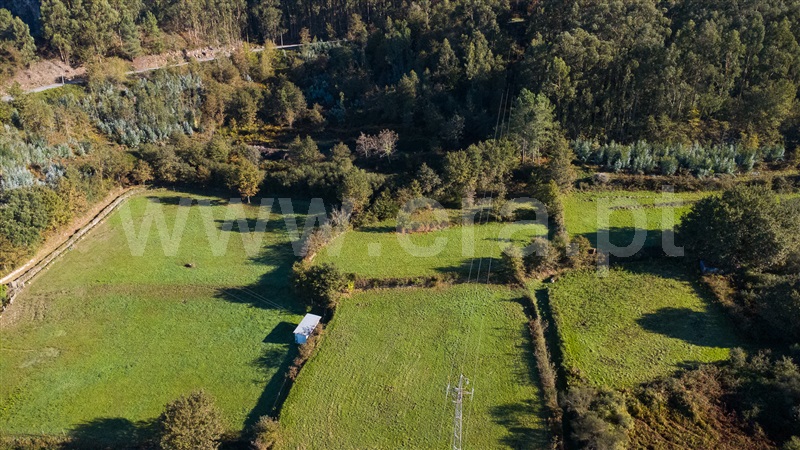 Terreno Rústico / Paredes de Coura, Formariz e Ferreira