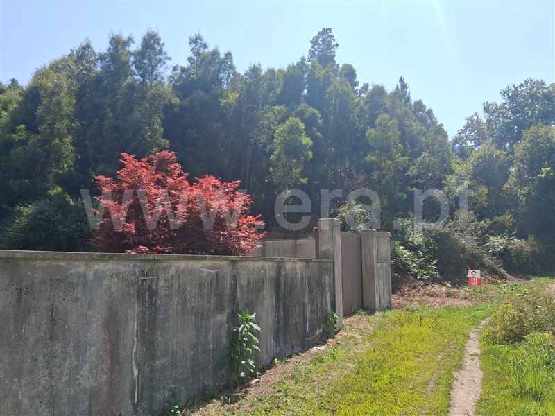 Terreno Rústico / Paredes, Paredes