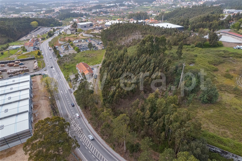 Terreno Rústico  Paredes, Alto de S. Domingos - Zuzarte - 1395275 - 3