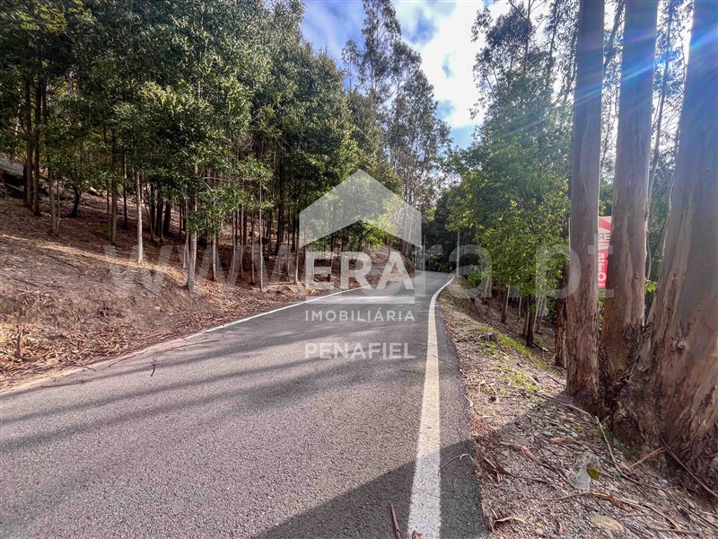 Terreno Rústico  Penafiel, Abragão - 1469992 - 4