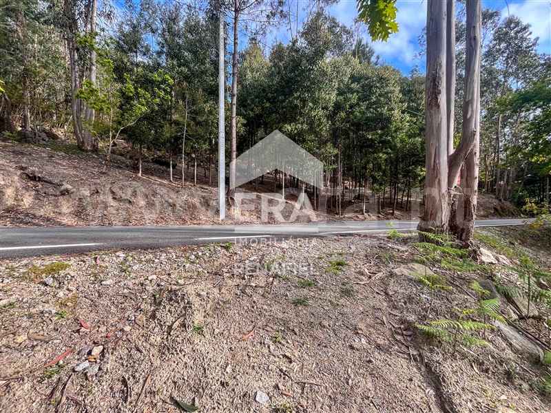 Terreno Rústico  Penafiel, Abragão - 1469992 - 5