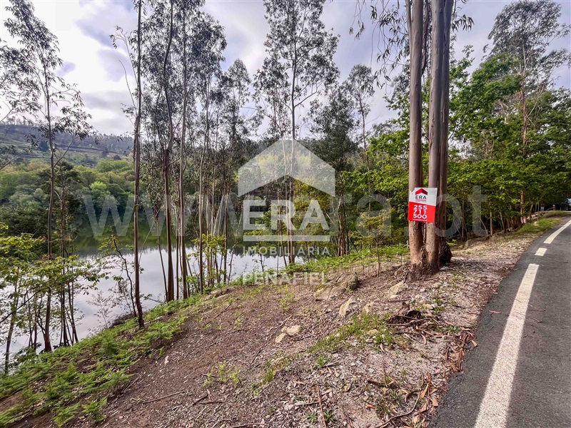 Terreno Rústico  Penafiel, Abragão - 1469992 - 10