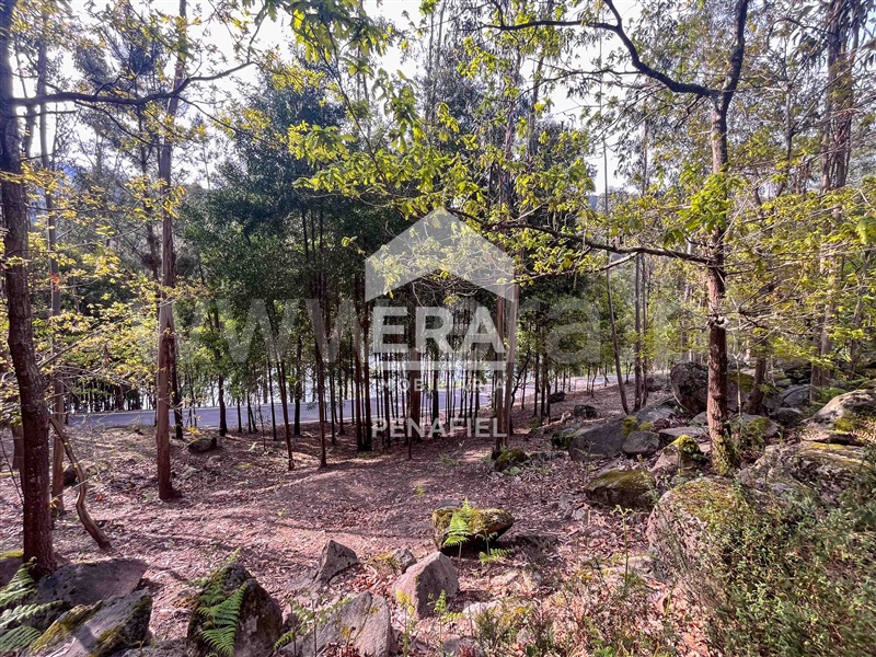 Terreno Rústico  Penafiel, Abragão - 1469992 - 11