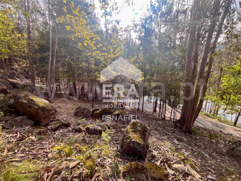Terreno Rústico  Penafiel, Abragão - 1469992 - 13