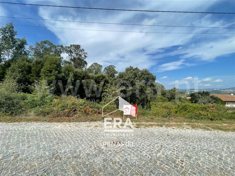 Terreno Rústico / Penafiel, Bustelo
