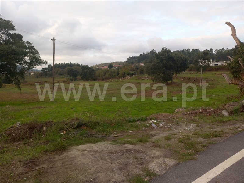 Terreno Rústico  com Rústico Penafiel, Cabeça Santa - 1432211 - 3