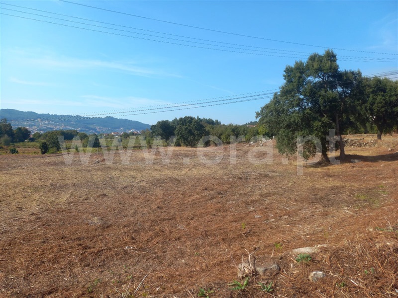 Terreno Rústico  com Rústico Penafiel, Cabeça Santa - 1432211 - 6