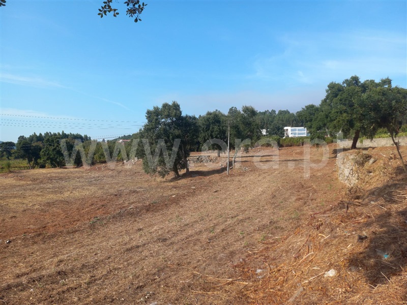 Terreno Rústico  com Rústico Penafiel, Cabeça Santa - 1432211 - 10