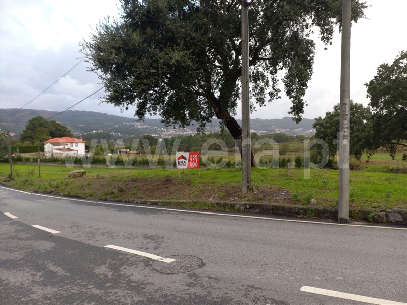 Terreno Rústico / Penafiel, Cabeça Santa