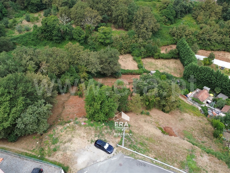 Terreno Rústico / Penafiel, Galegos