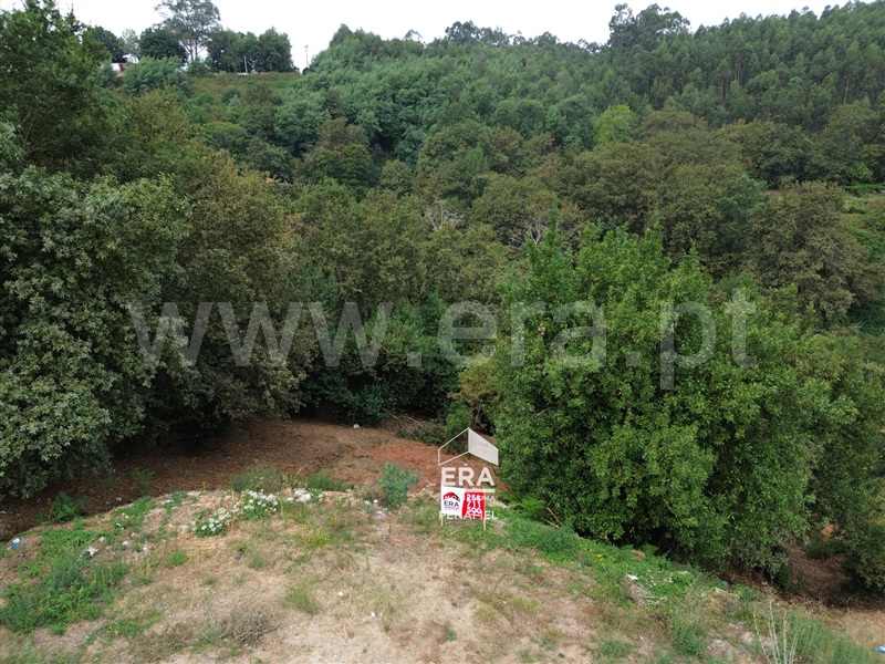 Terreno Rústico  Penafiel, Galegos - 1500648 - 3