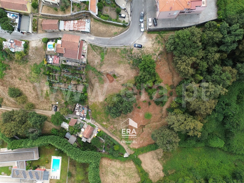 Terreno Rústico  Penafiel, Galegos - 1500648 - 6