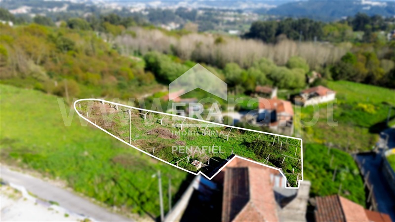 Terreno Rústico / Penafiel, Termas de São Vicente