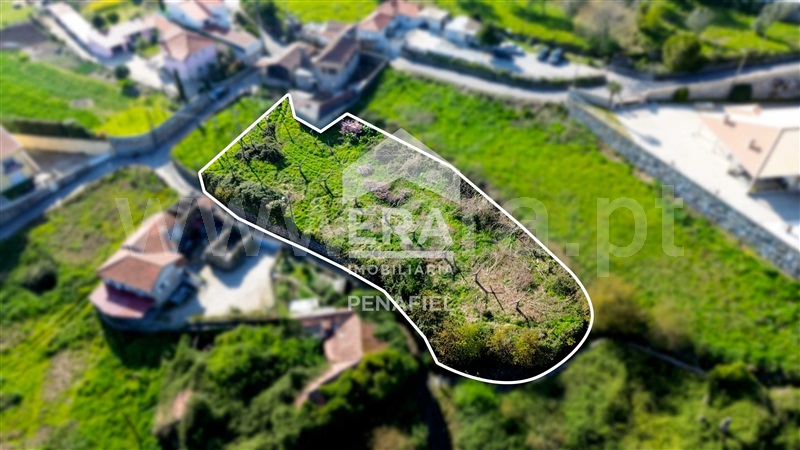Terreno Rústico  Penafiel, Termas de São Vicente - 1469960 - 8