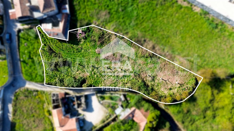 Terreno Rústico  Penafiel, Termas de São Vicente - 1469960 - 12