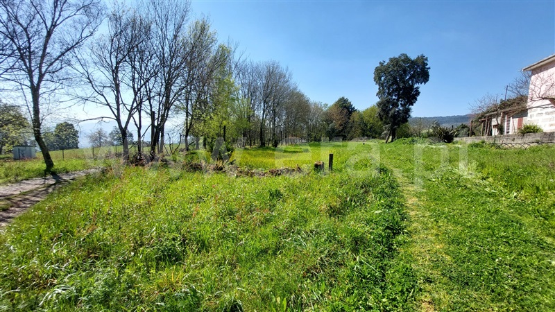 Terreno Rústico  Penafiel, Termas de São Vicente - 1471087 - 2