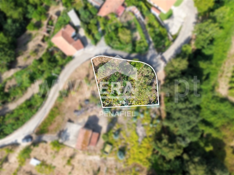 Terreno Rústico  Penafiel, Termas de São Vicente - 1498954 - 4