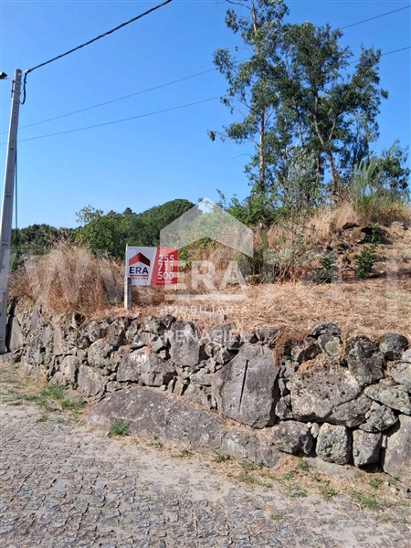 Terreno Rústico  Penafiel, Termas de São Vicente - 1498954 - 9