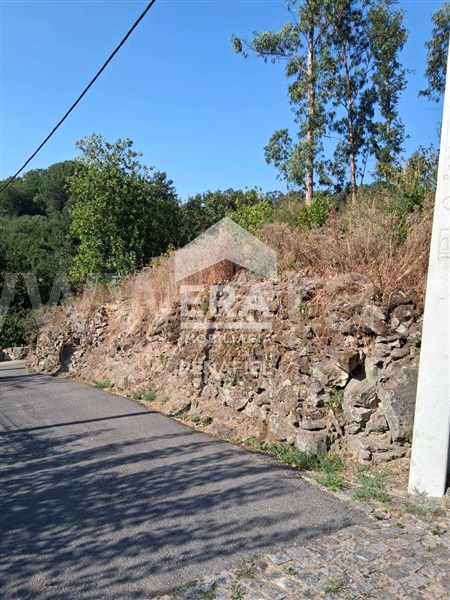 Terreno Rústico  Penafiel, Termas de São Vicente - 1498954 - 10