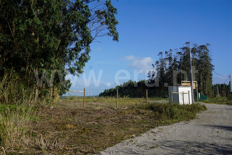 Terreno Rústico  com Agrícola Peniche, Atouguia da Baleia - 1336005 - 2