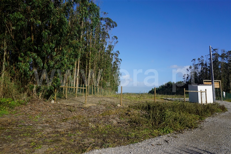 Terreno Rústico  com Agrícola Peniche, Atouguia da Baleia - 1336005 - 3