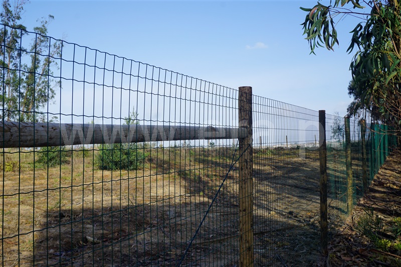 Terreno Rústico  com Agrícola Peniche, Atouguia da Baleia - 1336005 - 8