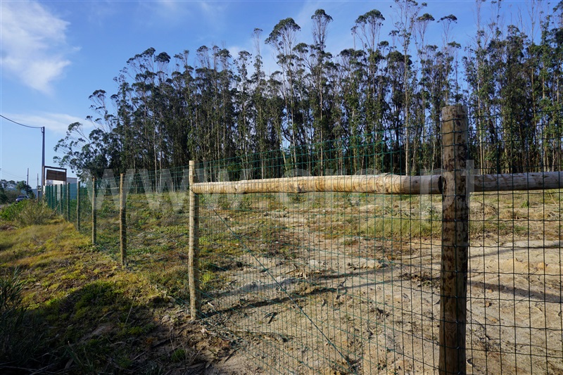 Terreno Rústico  com Agrícola Peniche, Atouguia da Baleia - 1336005 - 9