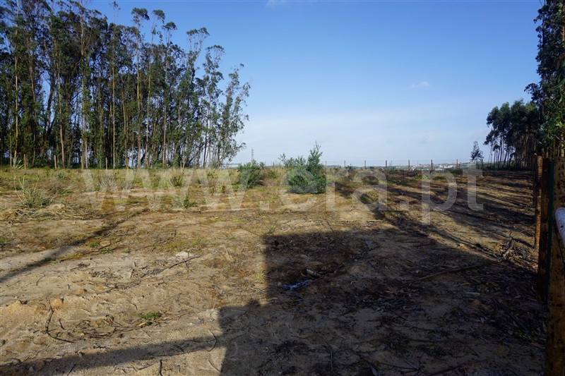 Terreno Rústico  com Agrícola Peniche, Atouguia da Baleia - 1336005 - 10