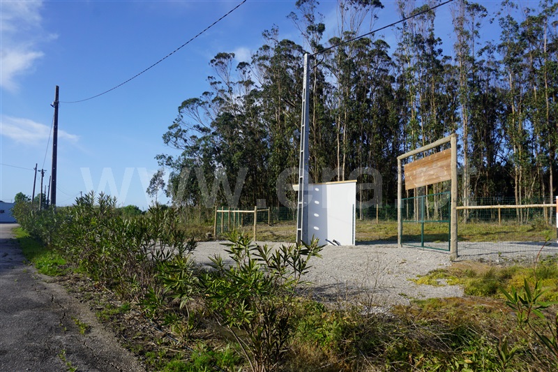 Terreno Rústico  com Agrícola Peniche, Atouguia da Baleia - 1336005 - 11