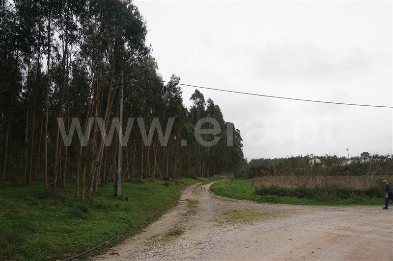 Terreno Rústico  Peniche, Casais de Mestre Mendo - 1451061 - 6