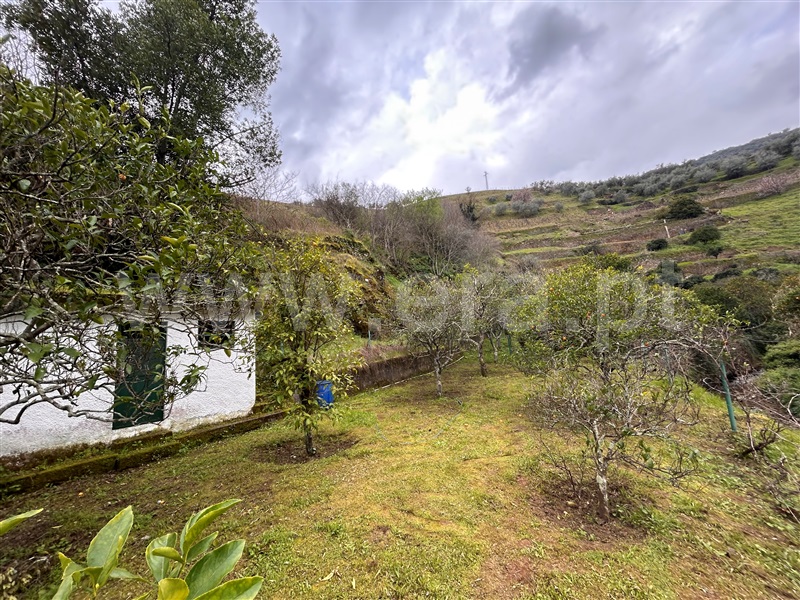 Terreno Rústico / Peso da Régua, Galafura e Covelinhas