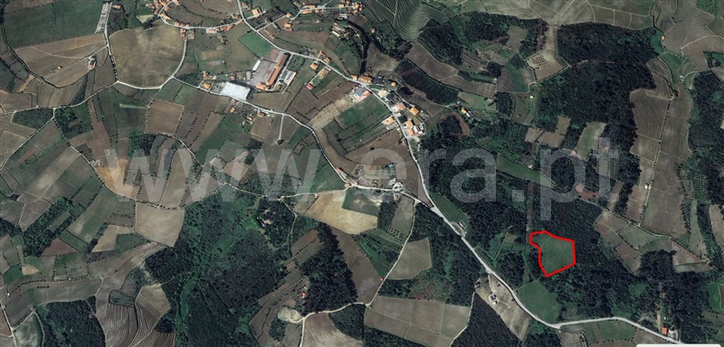 Terreno Rústico  Peso da Régua, Poiares e Canelas - 1440860 - 8