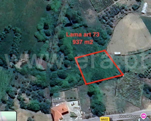 Terreno Rústico / Peso da Régua, Sedielos