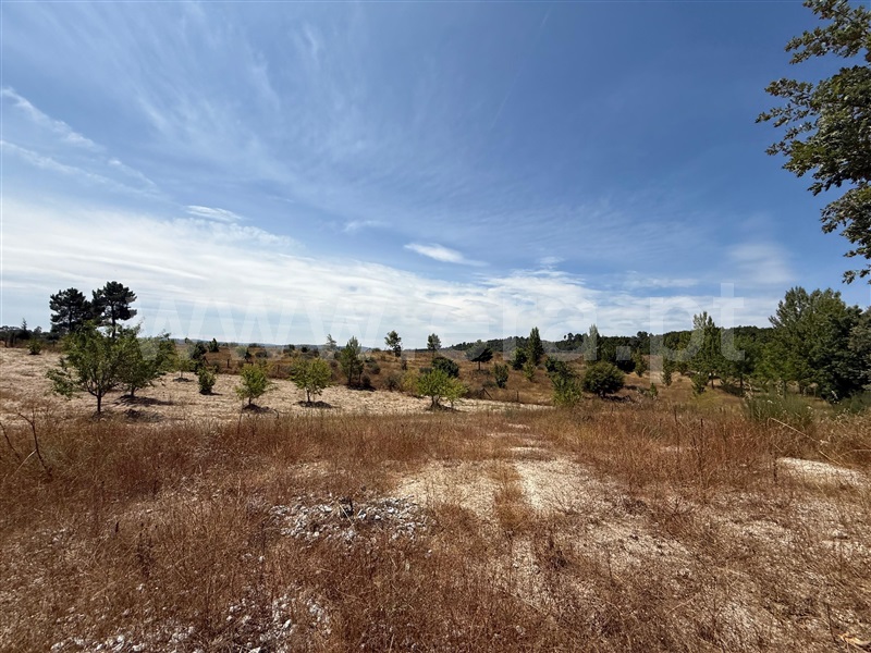 Terreno Rústico  Pinhel, Pinhel - 1496496 - 2