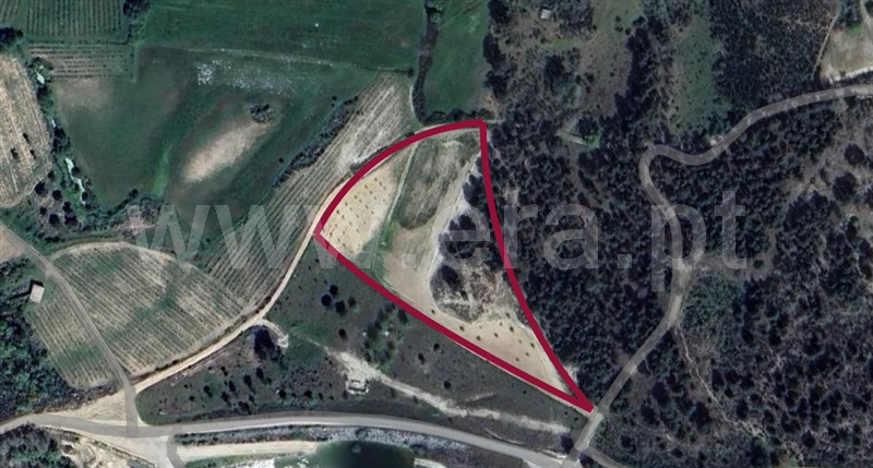Terreno Rústico  Pinhel, Pinhel - 1496496 - 7