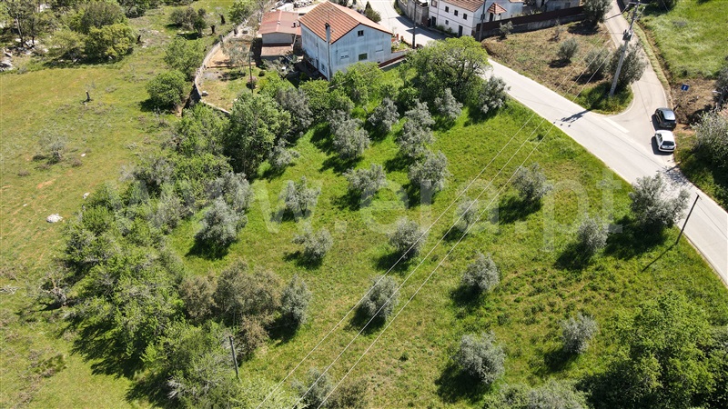 Terreno Rústico  com Agrícola Pombal, Abiul - 1322780 - 3