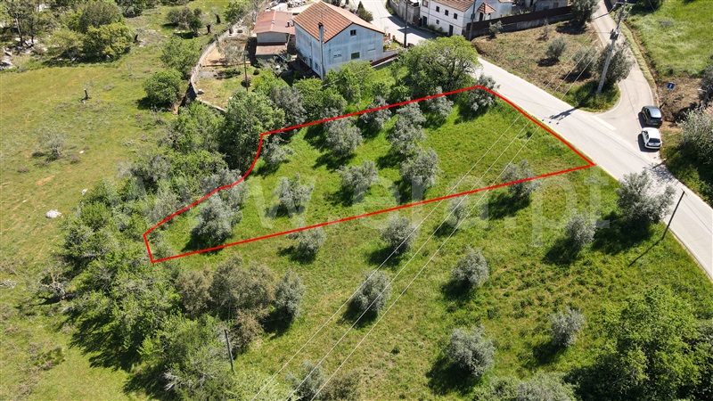 Terreno Rústico  com Agrícola Pombal, Abiul - 1322780 - 4