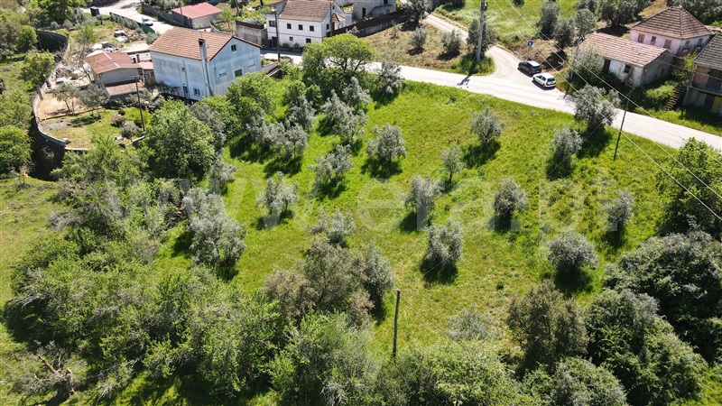 Terreno Rústico  com Agrícola Pombal, Abiul - 1322780 - 5