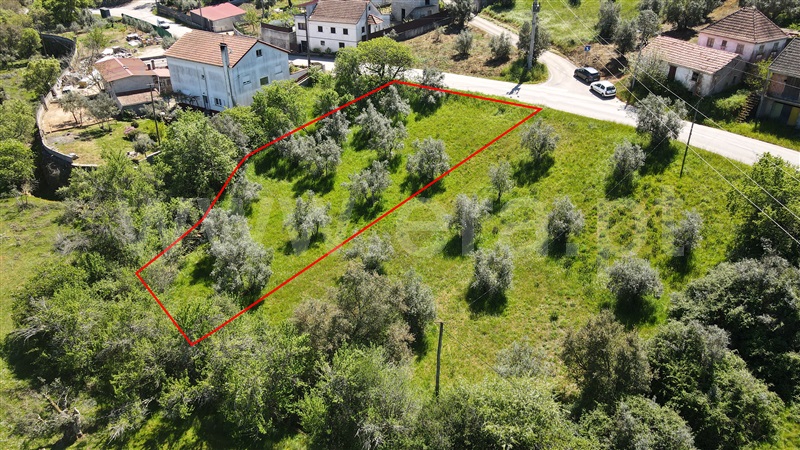 Terreno Rústico  com Agrícola Pombal, Abiul - 1322780 - 6