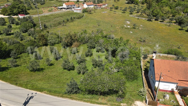Terreno Rústico  com Agrícola Pombal, Abiul - 1322780 - 16